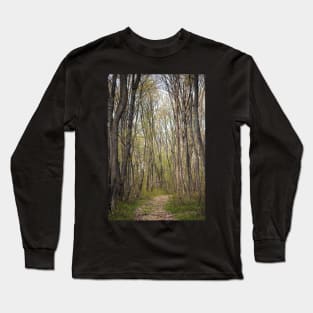 Hiking trail in the forest Long Sleeve T-Shirt